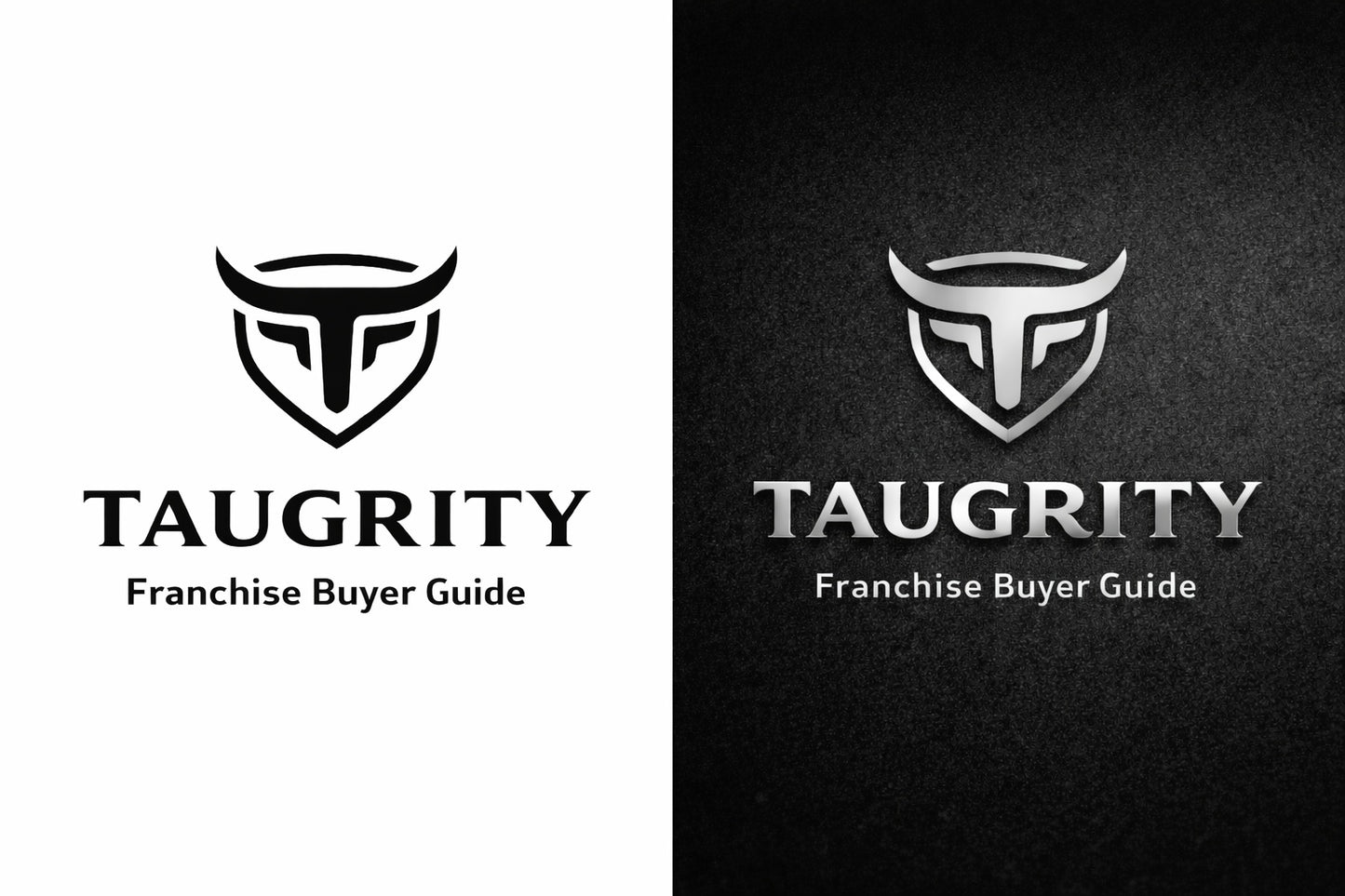 Before You Buy a Franchise Guide